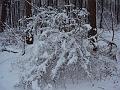 2010 019